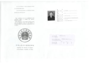 沧州发达会计师事务所有限责任公司