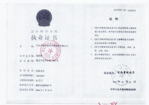 保定佳和会计师事务所有限责任公司